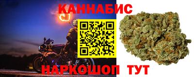 наркотики Новозыбков