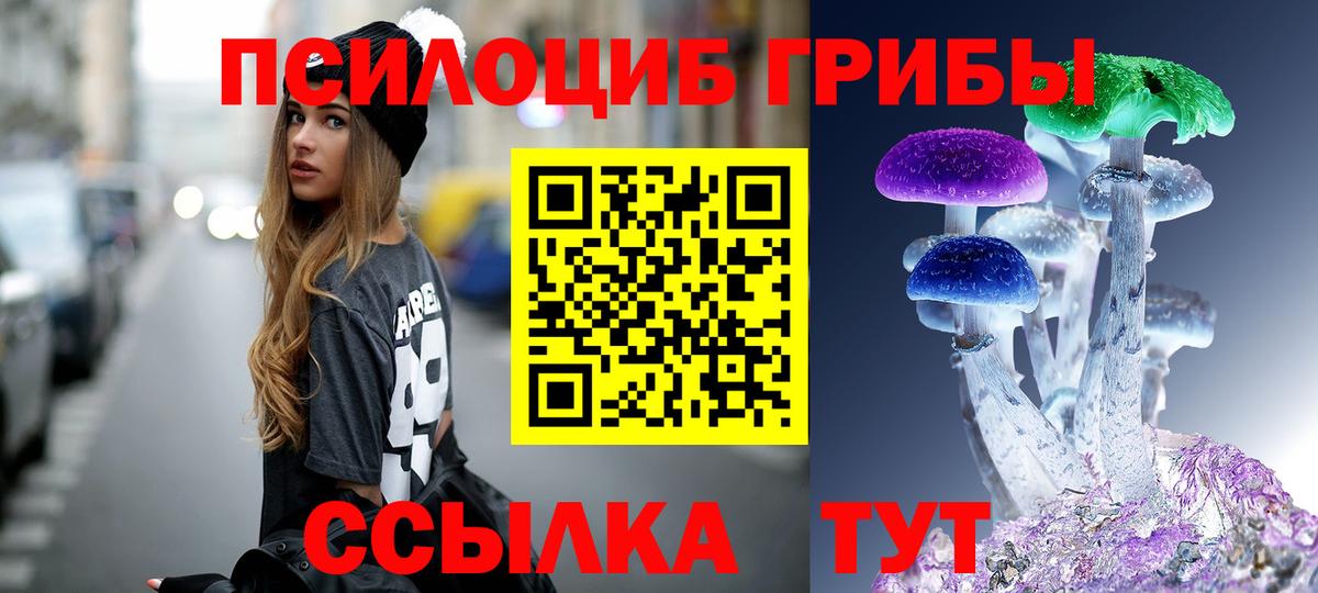 Шатура  Псилоцибиновые грибы мухоморы  Вход с VPN 