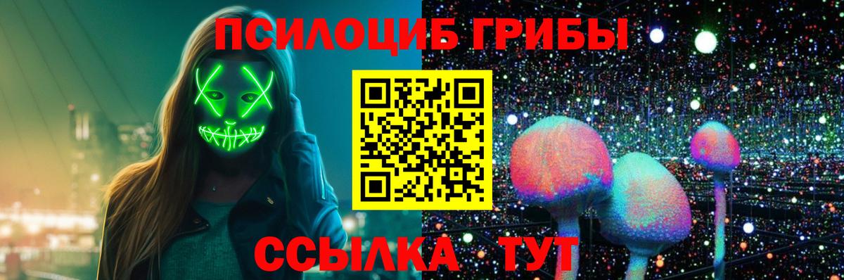 Псилоцибиновые грибы мицелий Шатура